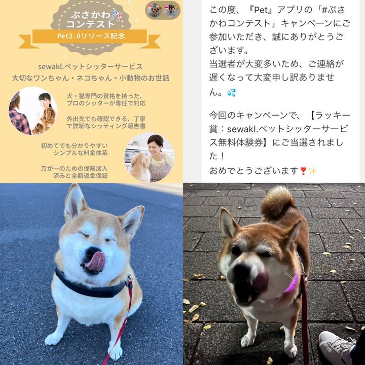 3c5ba1d9 8a8f 4741 99eb 72c1ad06914e 1669772608715