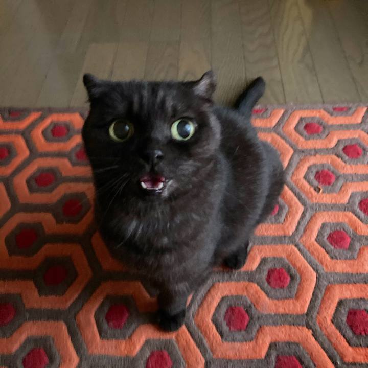 3c5c1d0f 3ac9 44c0 b89f acd6cef47961 1601079529808