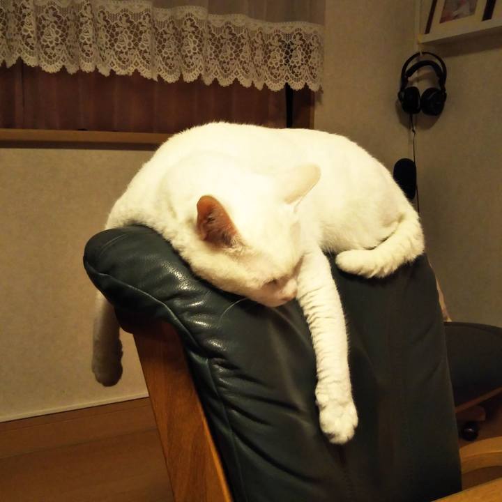 3c5c36b3 d3bd 4115 9166 3c8d601c18af 1562241748158