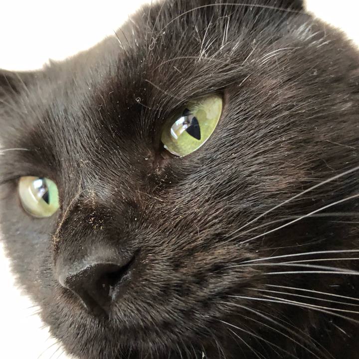 3c5c4540 f501 4144 8abe 77ad64f92e1e 1565408721146