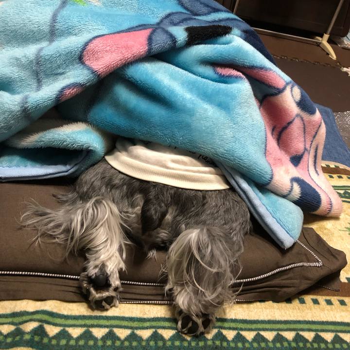 3c5c6577 941f 4db5 8eed d1d839eb7d11 1706451955906