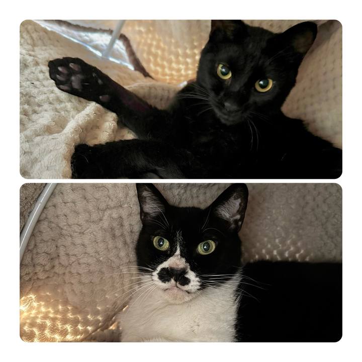 3c5c88e5 e373 4da3 aa72 5d8e0d9a72c0 1748667803326