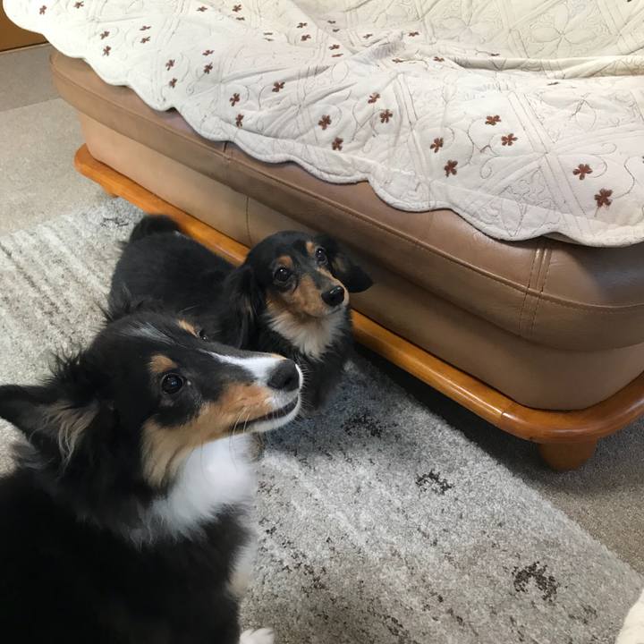 3c5c98c4 f4bd 4093 b54d 4ec7f8134b76 1513983337565