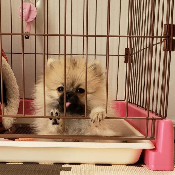 3c5ccc3d a497 4267 b68f 05d29051e863 1611547095731