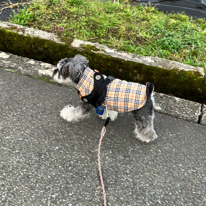 3c5cd226 4b79 41c2 a468 a1db6fb91cbf 1775167462450