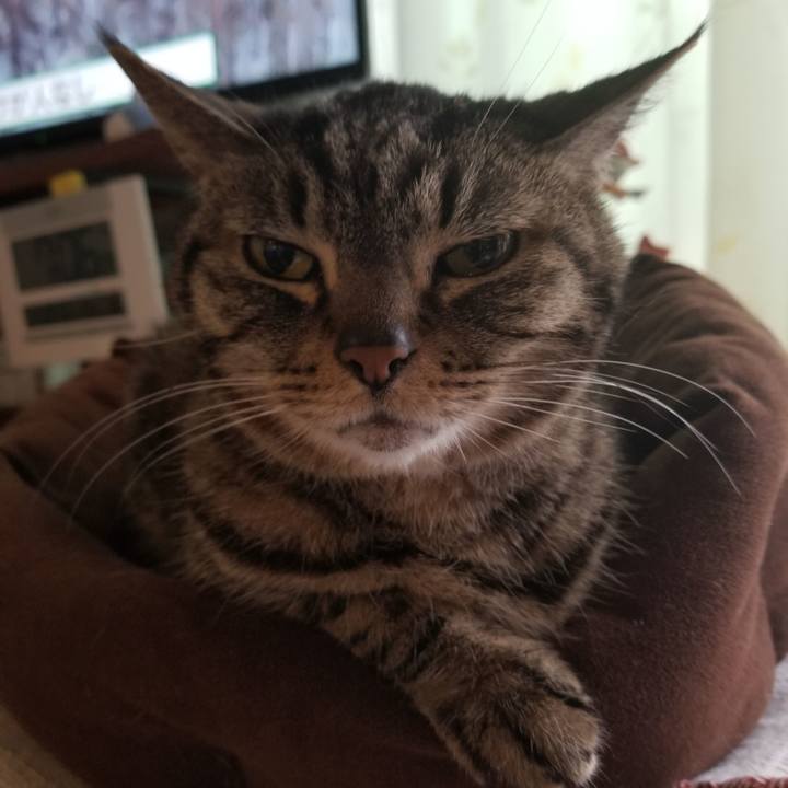 3c5ceaa6 de2e 4e76 9c88 b5f84347f317 1616883084278