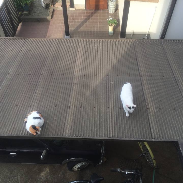 3c5d2f05 9b82 4907 a058 624082da35c9 1525333587872