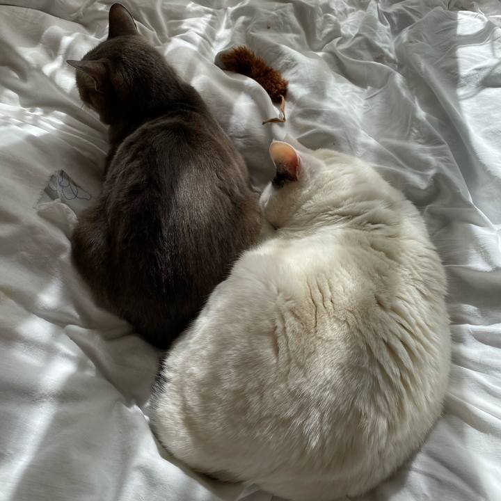 3c5d51cf f3bb 4b06 9b39 158e07ca3d18 1583400440542