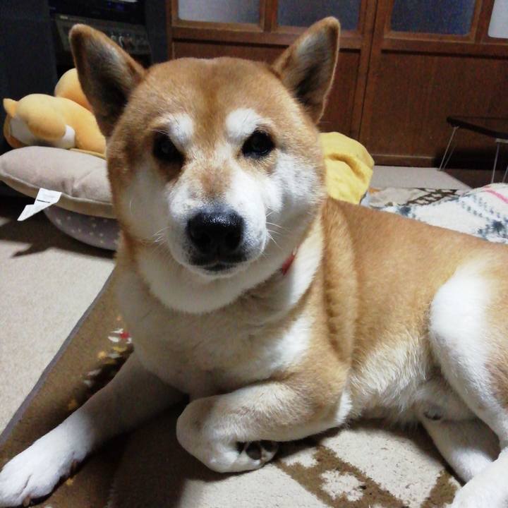 3c5d7692 e871 45cd 8b6f 8e69fde15415 1643687598154