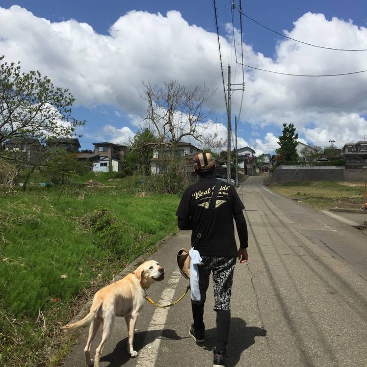 3c5d7d92 e18f 469f 82c6 70e1ba567ad4 1553592150852