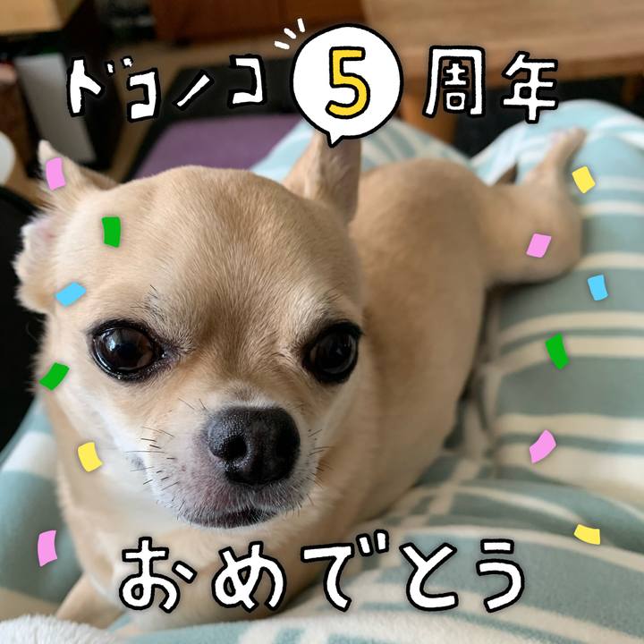 3c5d9e94 582f 4d4b 8878 03f3aeb3fe64 1623020656203