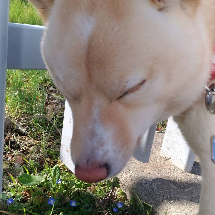 3c5da98b 4df1 41cf b3f2 905045c67c4f 1519905602780