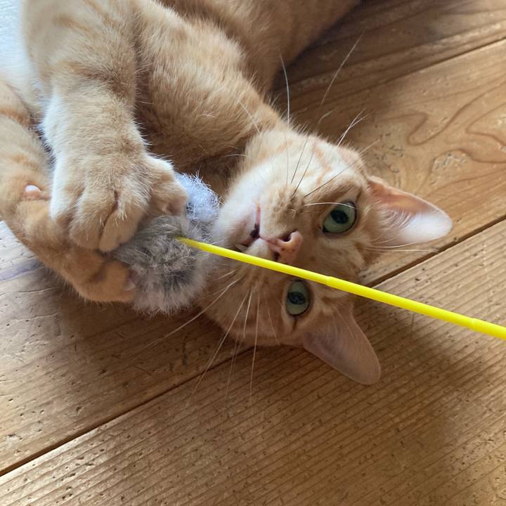 3c5db9b2 86da 493d 9810 c5a9676af84d 1661556700629