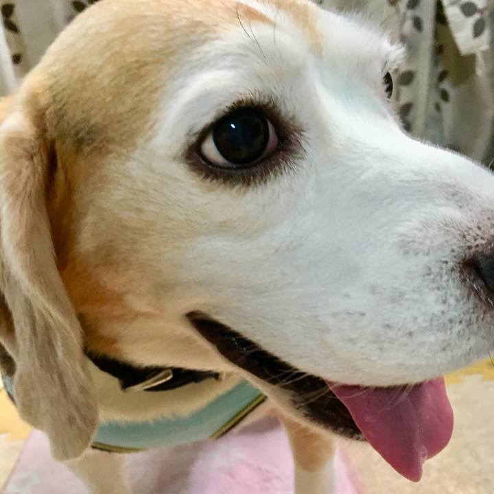 3c5dc269 88c8 4500 8a7c 343798c3640c 1567231254543