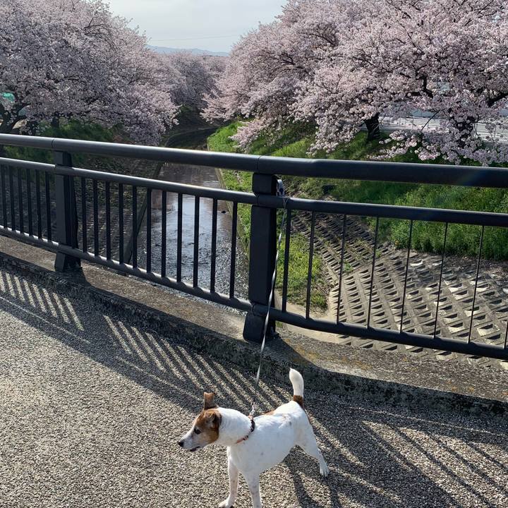 3c5dceab 64ef 4037 b8e4 dfb907e58f72 1617237067020