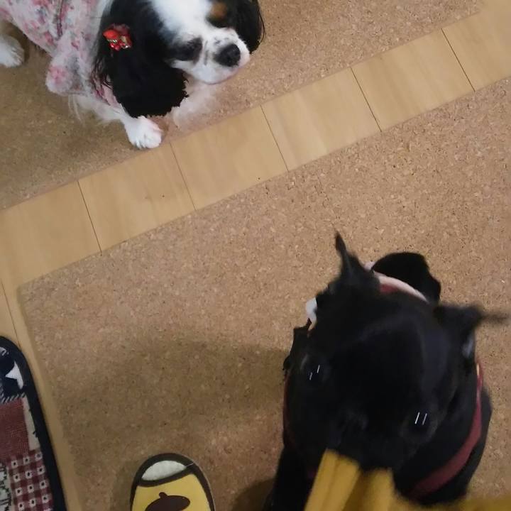 3c5dcf10 efd7 4076 a9da 7a5ebdcd3dbf 1514814324106