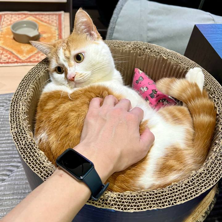 3c5dd7bf 348d 4d8e b858 81c7e4ab0e1c 1772682291589