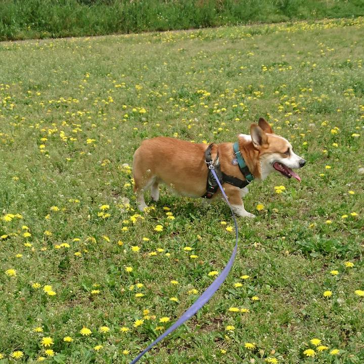 3c5df965 43e4 4354 9fcf 688eebc6b889 1650337503270