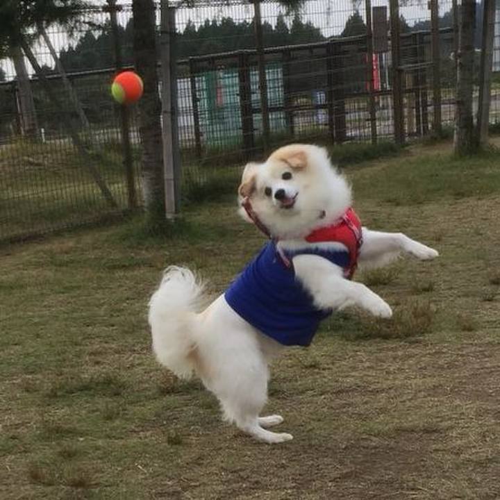 3c5e4c42 461c 4d20 8bc2 5251239afdfb 1507720158207