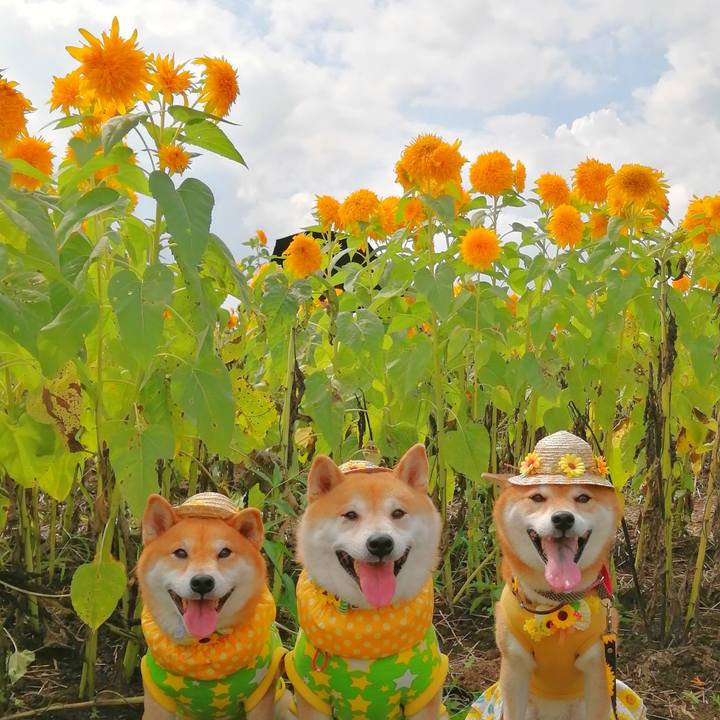 3c5e7499 ff3f 4c7d ac35 7ce6edd8454a 1662289295854