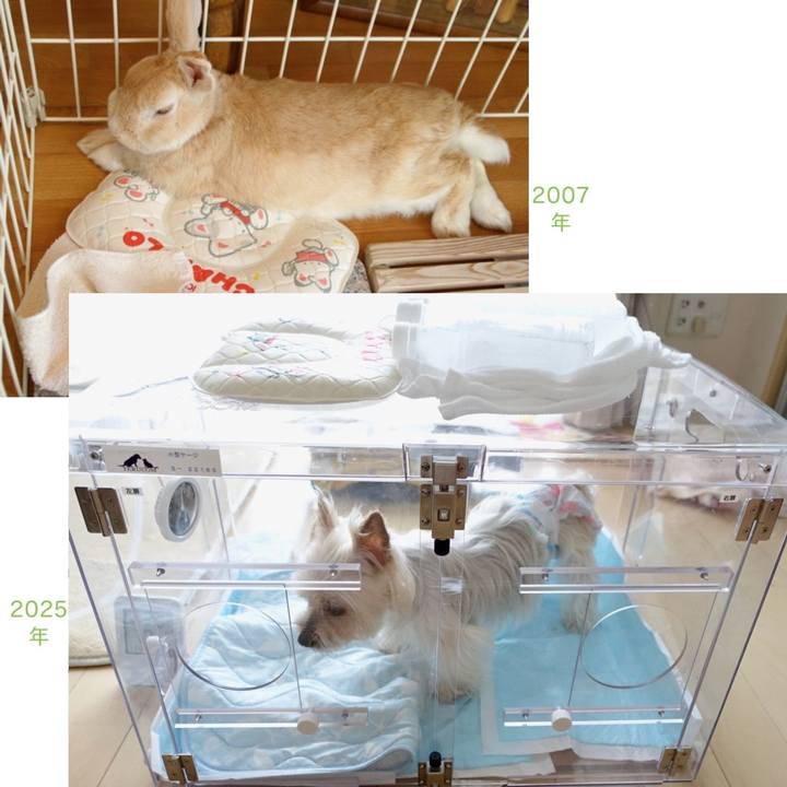 3c5e7bed 1e5c 4cb5 97af ca84e7895f03 1751796851002