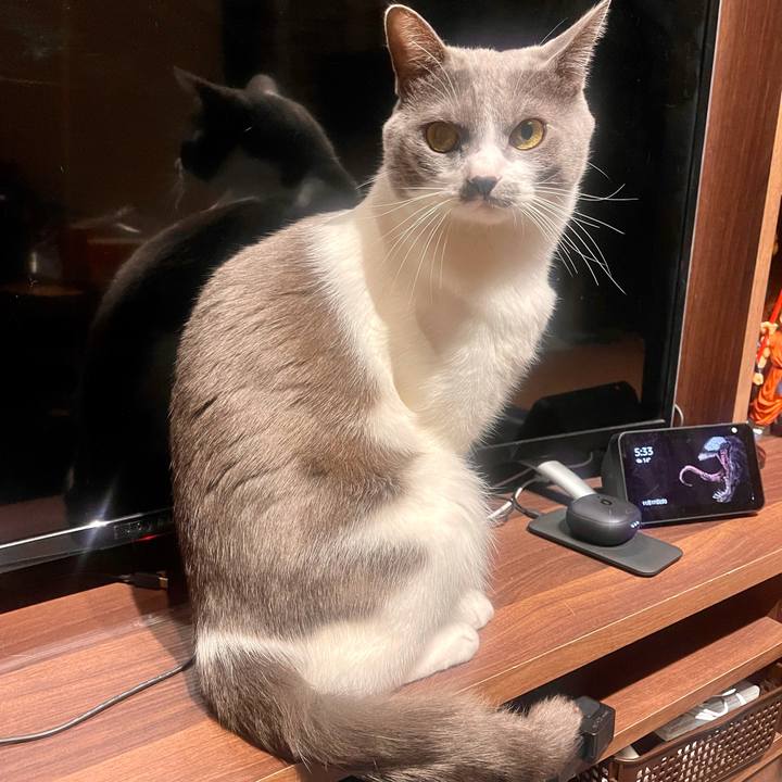 3c5e9ce8 9c7c 42fb 8d37 3a1abab0e353 1637138083647