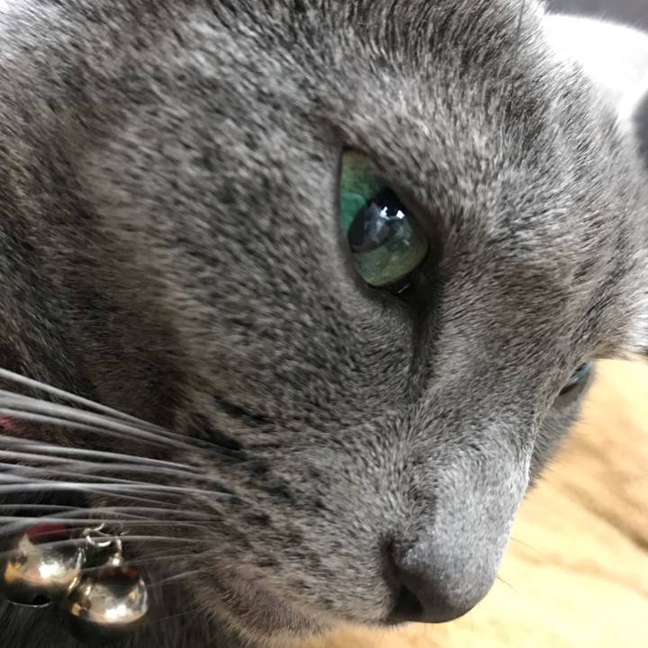 3c5edc78 a0bd 46b6 bf7f 4c4819aaaee5 1543821933125