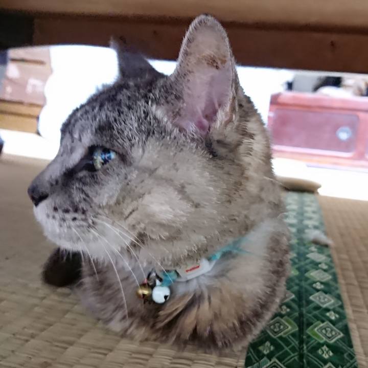 3c5f2fa3 2821 4ac3 8e7c ba7f67638234 1567857344007