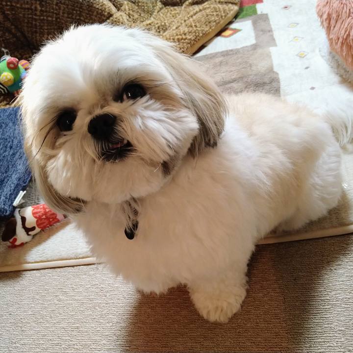 3c5f3e4e a05a 4960 92b6 1b828d6f9a04 1643803299663