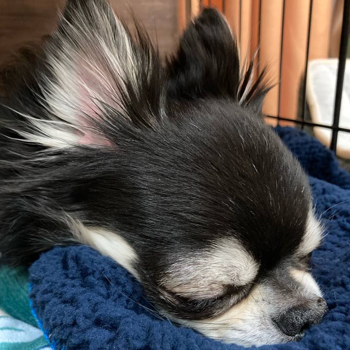 3c5f6b79 a7ad 4922 80e3 b912668e4bae 1675525331589