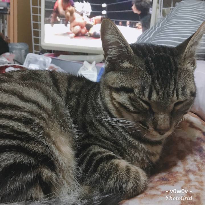 3c5f74a5 206c 4445 bc2d fcaa8f49e6d9 1545557997983