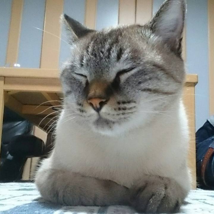 3c5fe442 6195 4962 8d02 b51b0eb95ccb 1509018320820