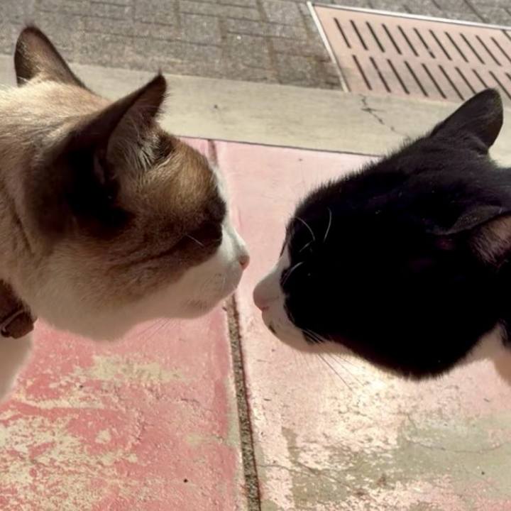 3c6011f1 62ee 44f9 9ad2 393c0abf152a 1769778954033