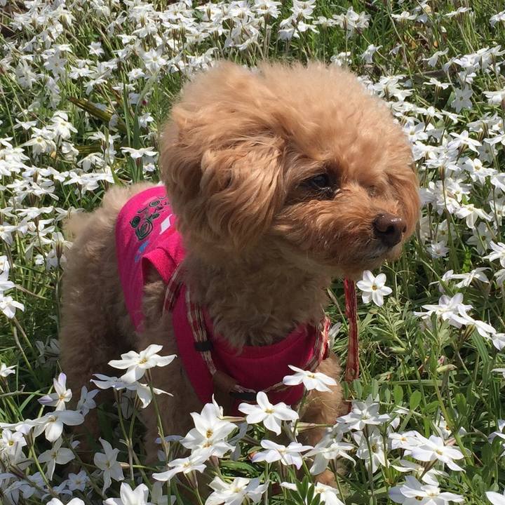 3c6059b7 274d 4d47 8249 ebf215c1f521 1522651333160