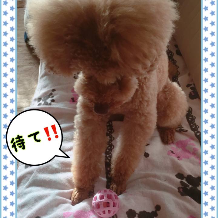 3c60727d d873 4ddb afc6 883728a22d37 1523830925377