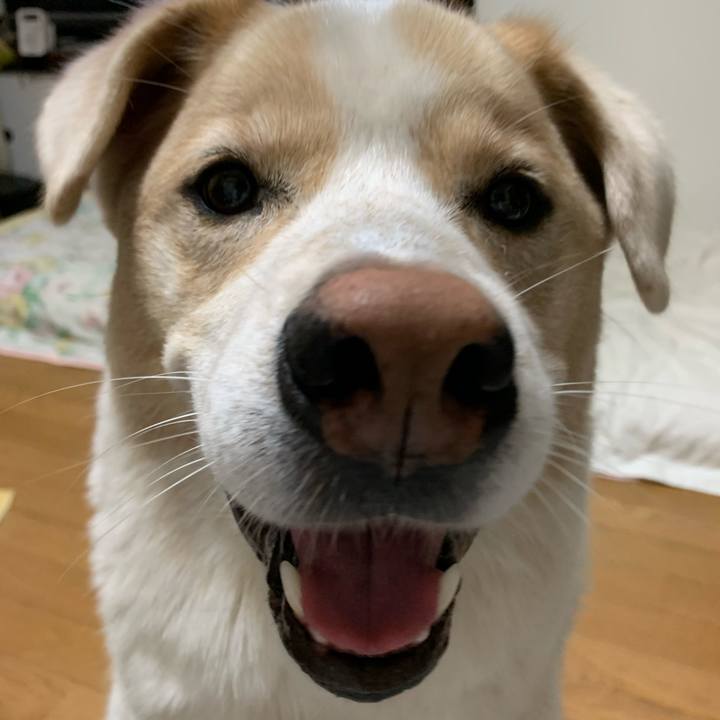 3c607e3d f95f 490a 9e40 6bb51b67f64c 1572787462746