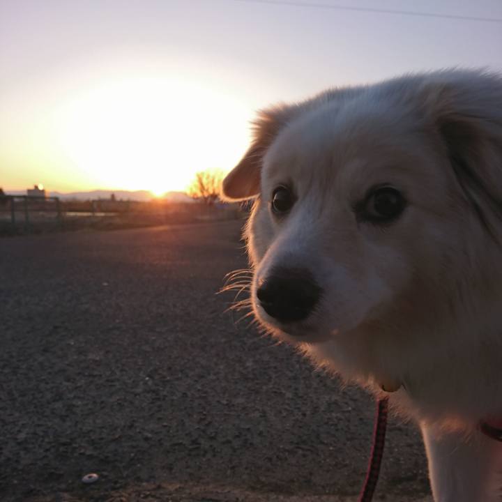 3c60a5f3 b04e 48a6 b0d0 c60271660b13 1520717902458