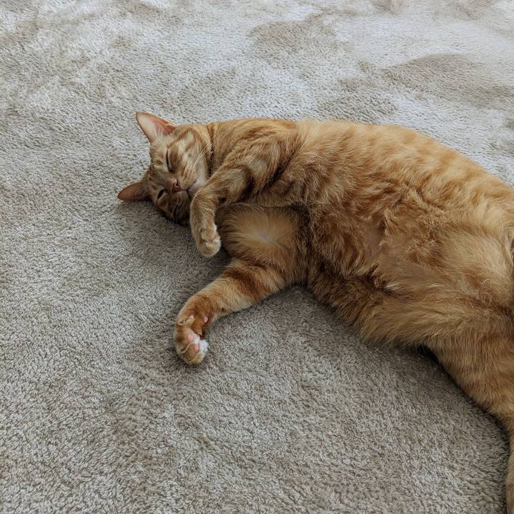 3c60af04 352f 4bca 86ce 97bc9de75aca 1681608669094