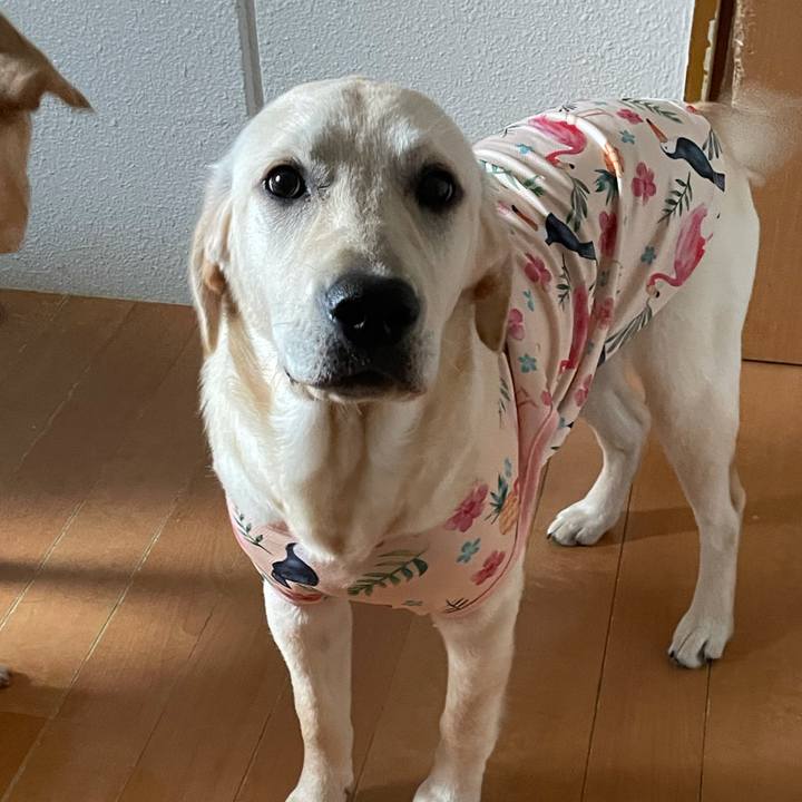 3c60bada e9dc 4d62 8624 816e0a130b6d 1622685616461