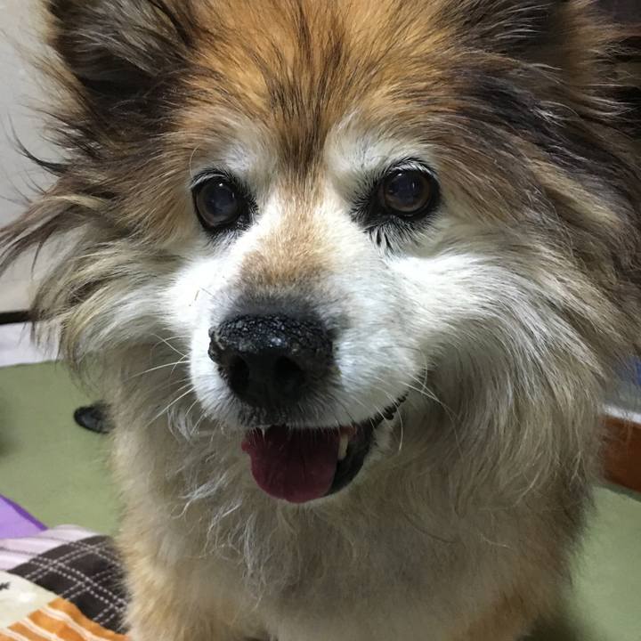 3c60dfc6 ba6c 4131 9b94 8779e26c1b6a 1604654802222