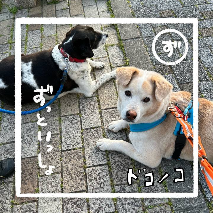 3c614ff1 6548 4778 a56a e0a1188079b1 1685969822610