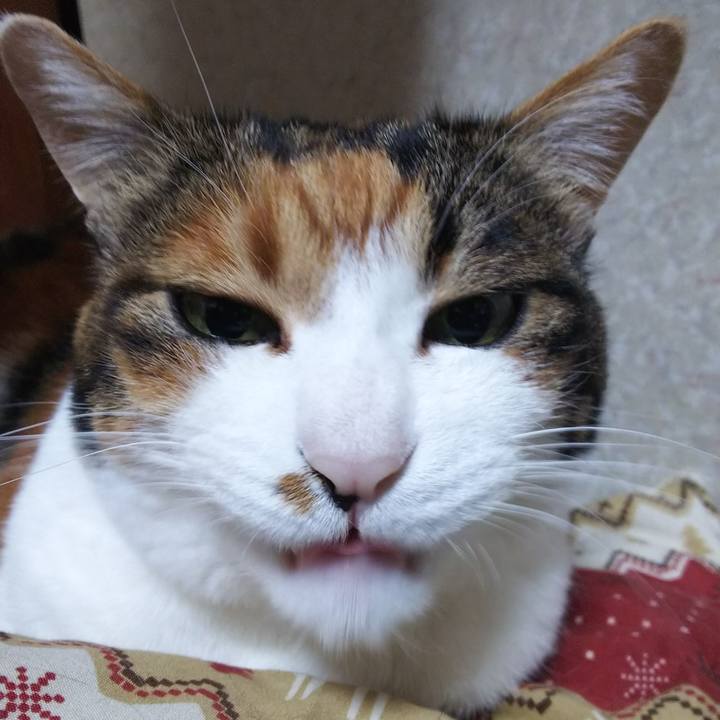 3c61840d b929 4d0d 89cc b3d00375ef25 1548149686473