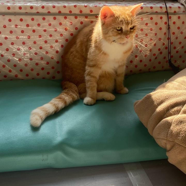 3c618692 0109 48ce a344 f1eac4e71583 1636079198354