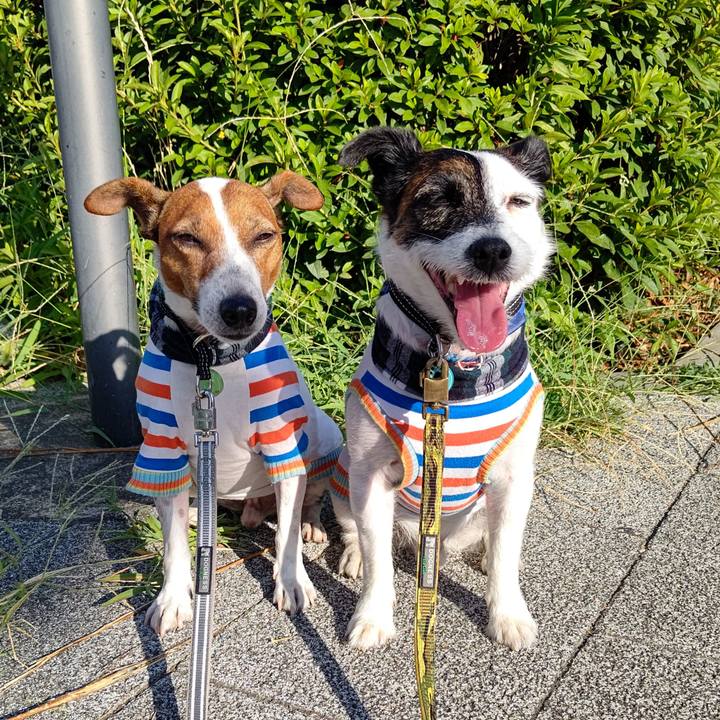 3c61a3c6 c5aa 46b3 bbf1 fe1163fced75 1690235722060