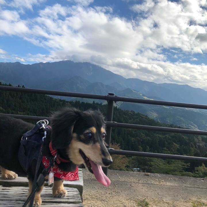 3c61b52d f80c 463e a78f 96305ef8c883 1633937536214