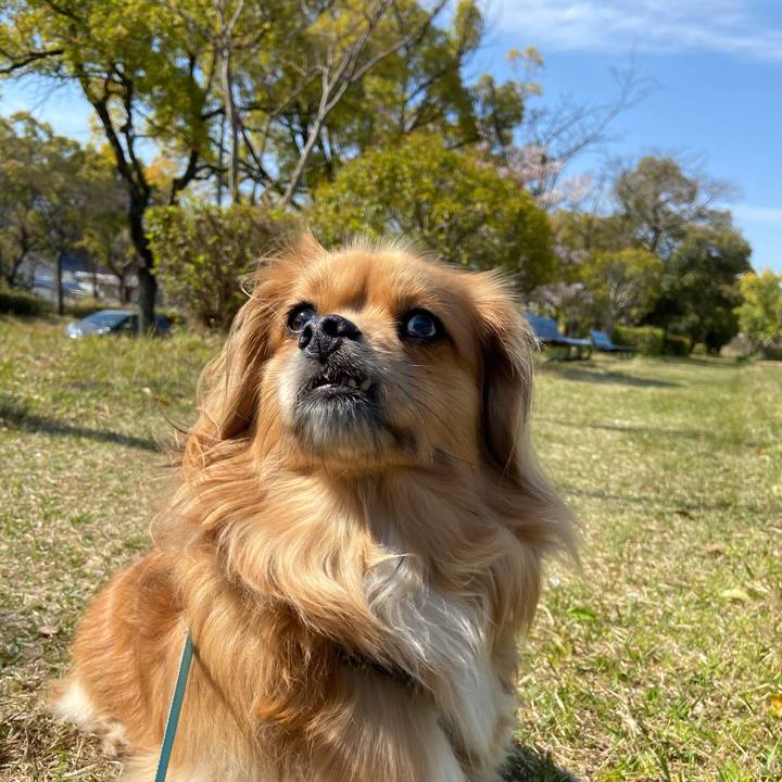 3c62123f 3fc3 4291 b9f1 e266af9d62e9 1586565946346