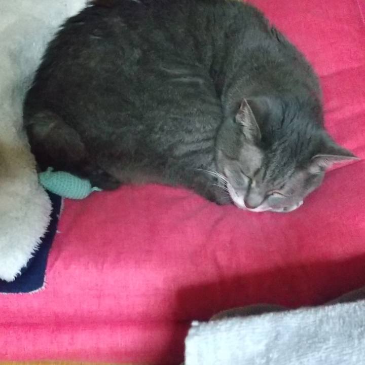 3c622186 38f7 408d a43b 21eca8157685 1635448231493