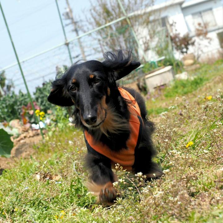 3c6252b4 5e91 4439 989d a0a4bd9fc08b 1553663051759