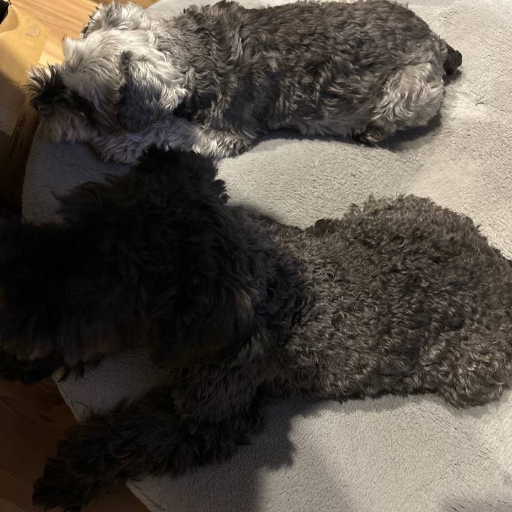 3c627983 8b73 46af 930a bb5aeb69122b 1702112880586