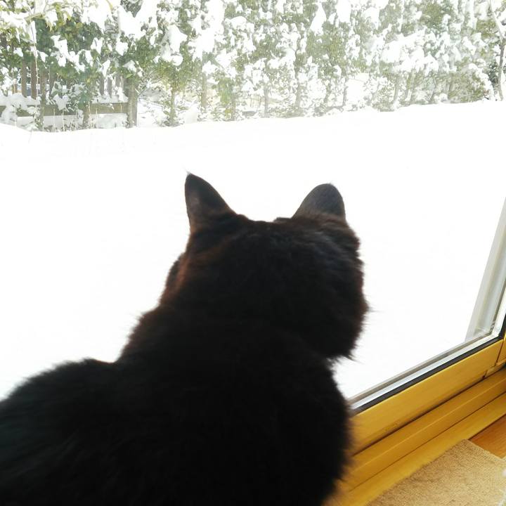 3c631f7d 8a52 467e 84a6 d0a54f8ba65d 1516665811294